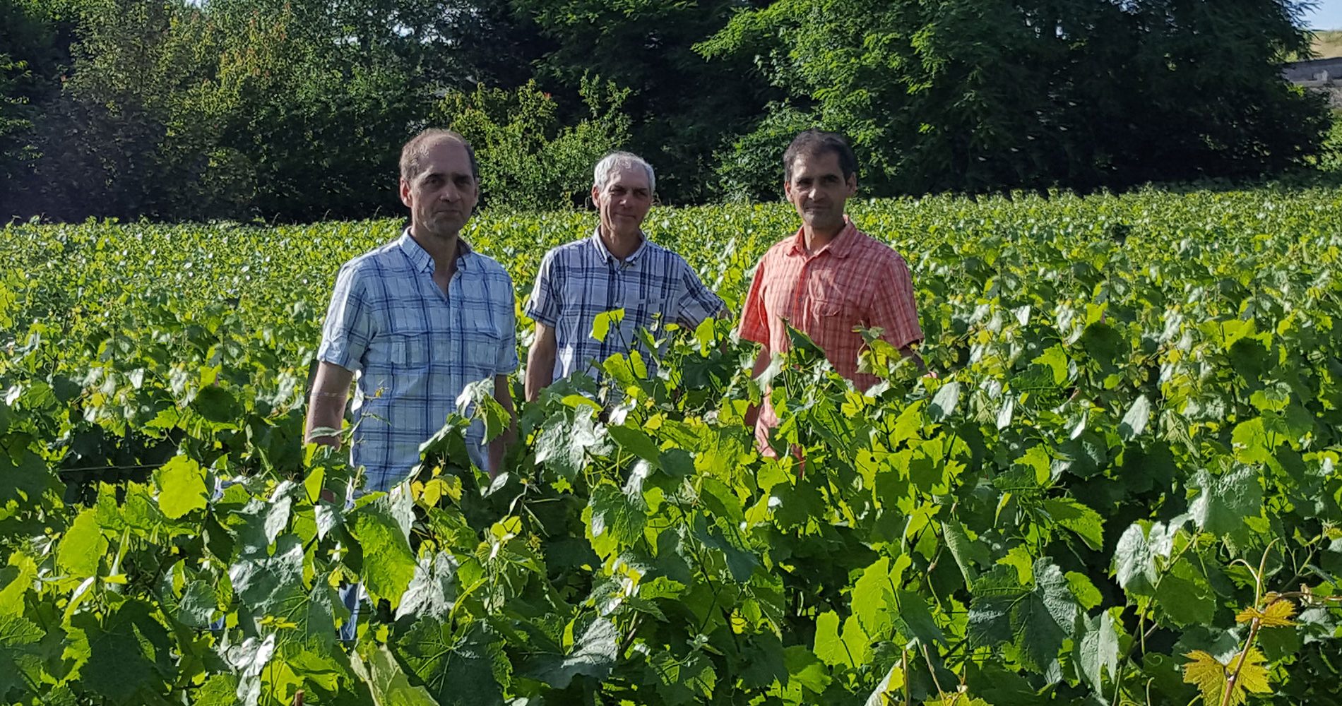 maison-peltier-vins-vouvray-touraine-1920_1000_3